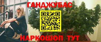 стаф Лесосибирск