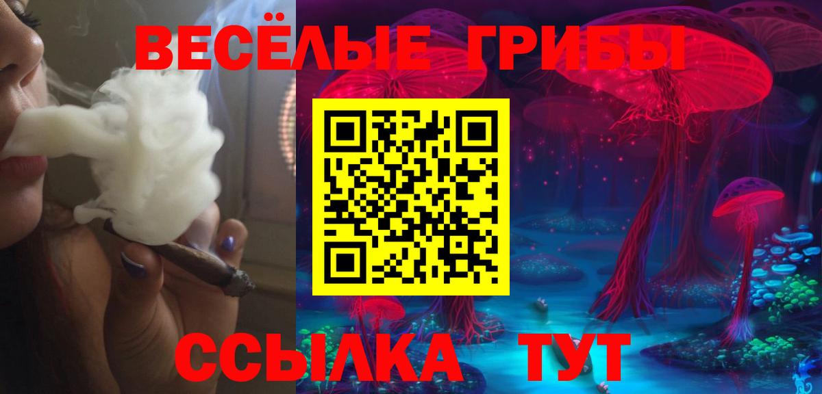 Псилоцибиновые грибы GOLDEN TEACHER  Вход с VPN  Егорьевск 